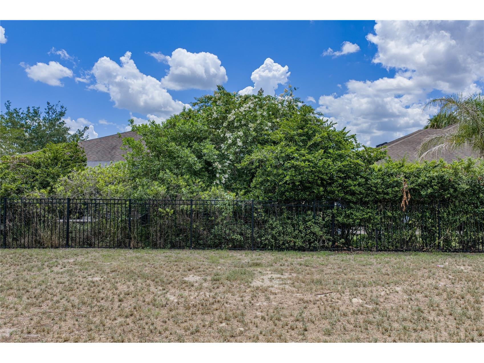 5904 Shell Ridge Drive Lithia FL 33547 TB8521866 image86