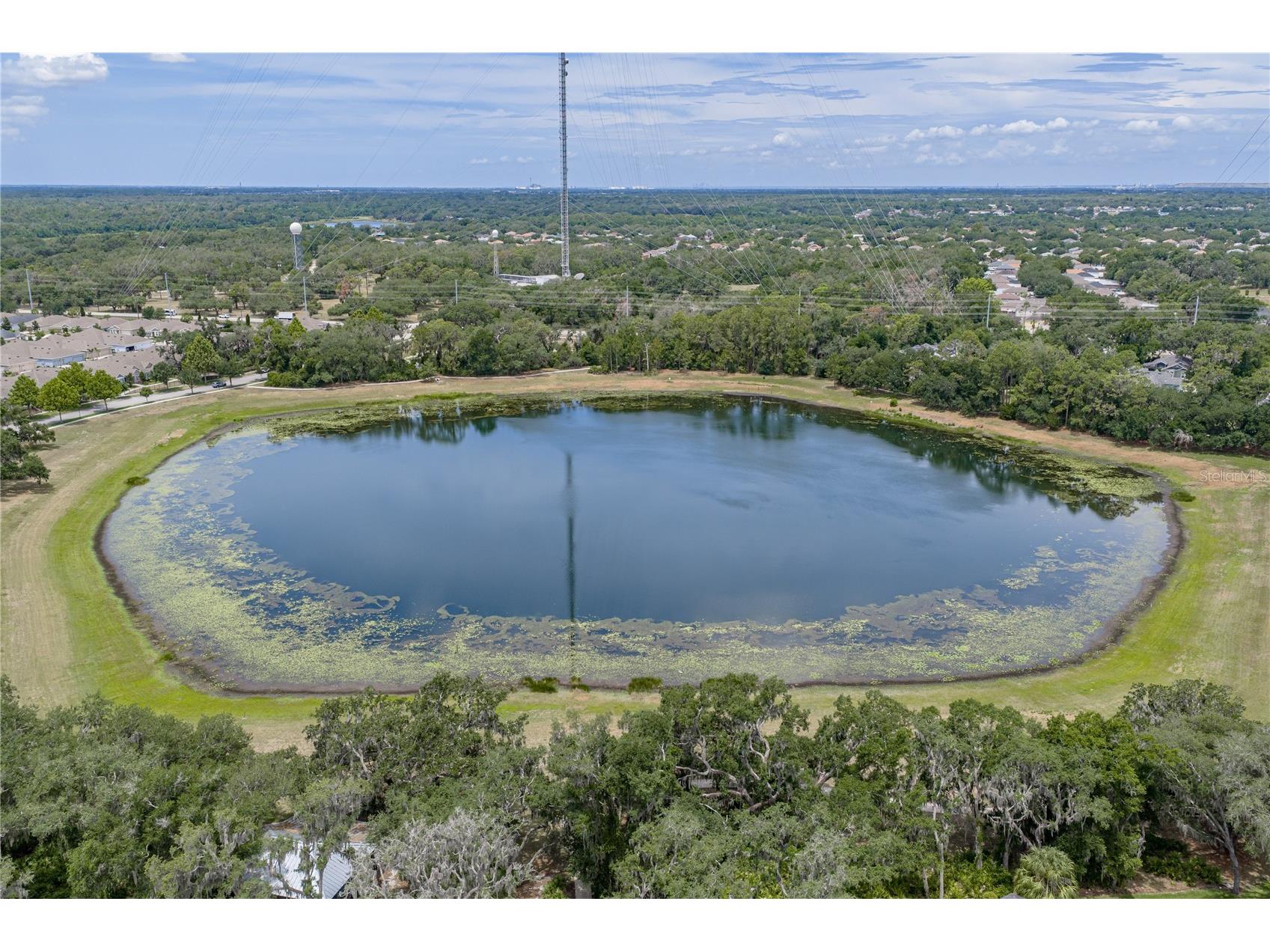 5904 Shell Ridge Drive Lithia FL 33547 TB8521866 image99