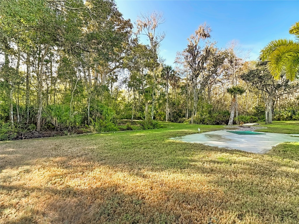 5904 Springrun Court Holiday FL 34690 TB8454471 image65