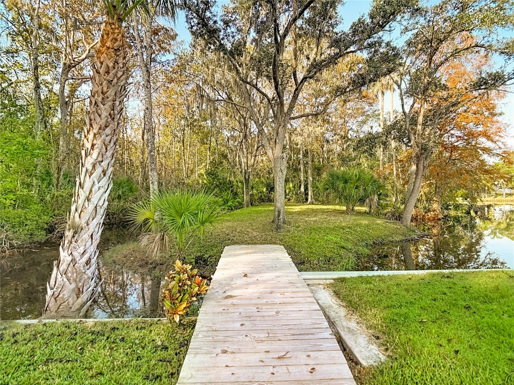 5904 Springrun Court Holiday FL 34690 TB8454471 image68