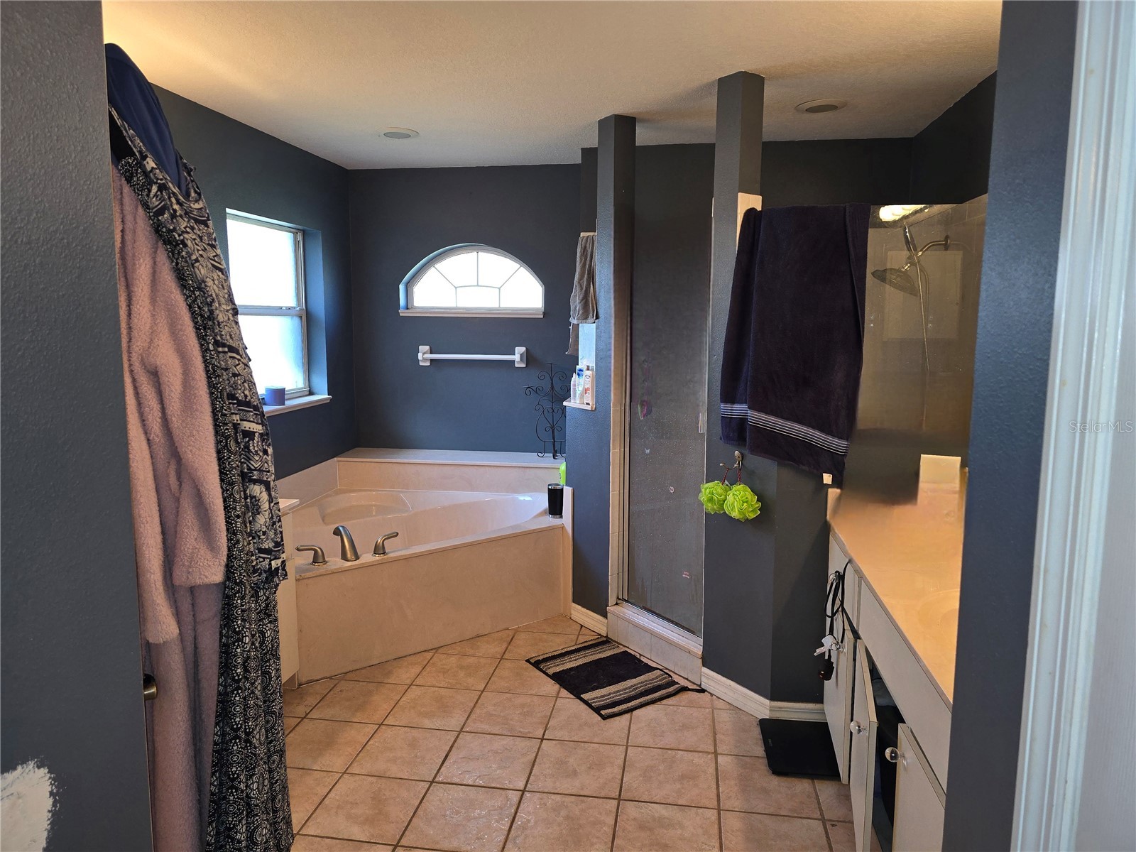 5904 SW 107th Street Ocala FL 34476 OM716704 image26