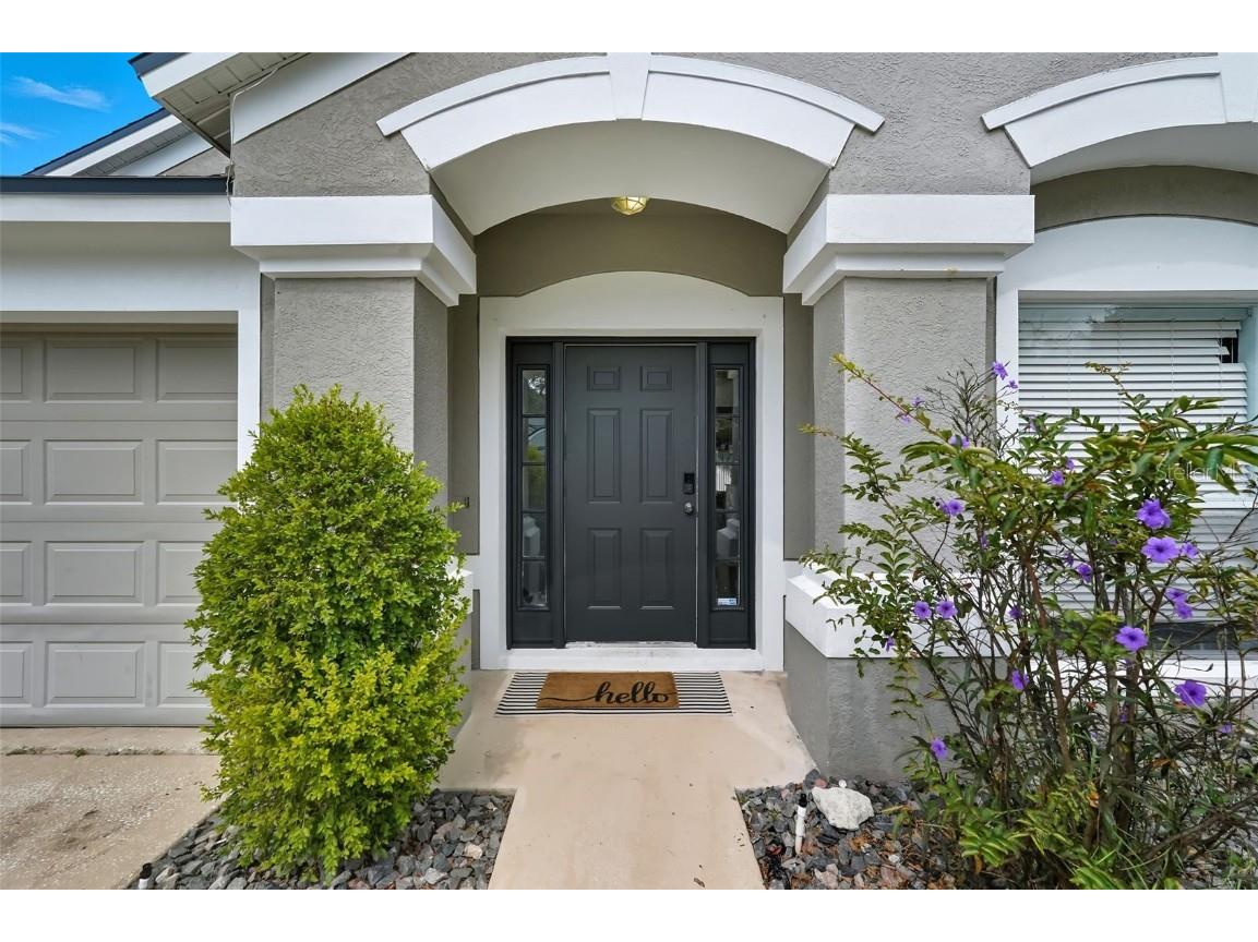 5904 War Admiral Drive Wesley Chapel FL 33544 TB8436592 image1