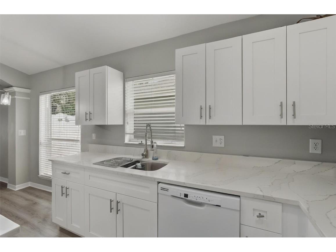 5904 War Admiral Drive Wesley Chapel FL 33544 TB8436592 image27