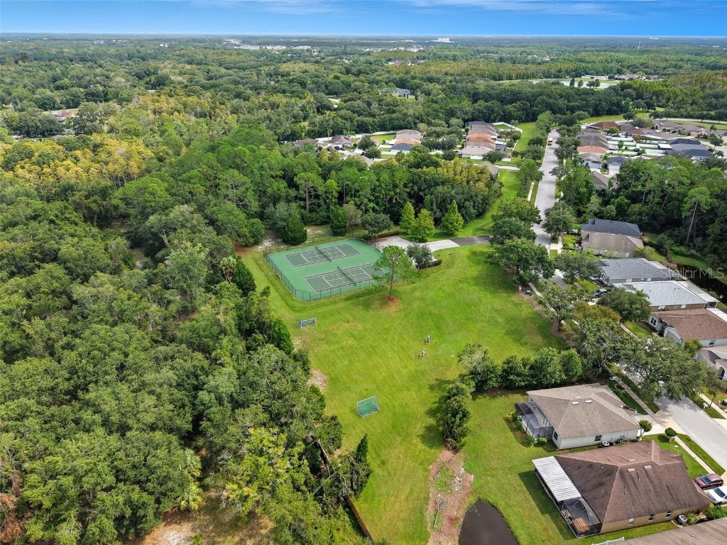 5904 War Admiral Drive Wesley Chapel FL 33544 TB8436592 image56