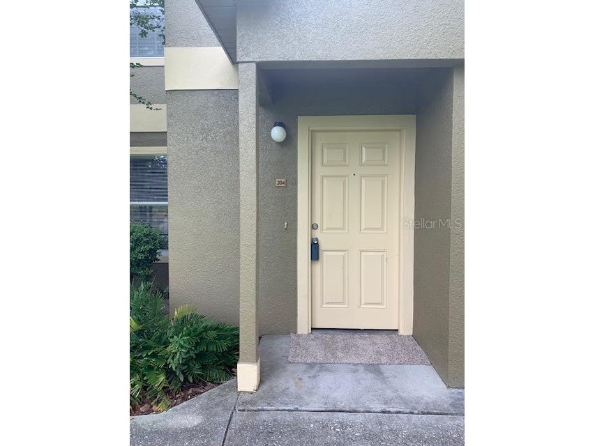 5904 Willow Ridge Drive #204 Zephyrhills FL 33541 T3517742 image1