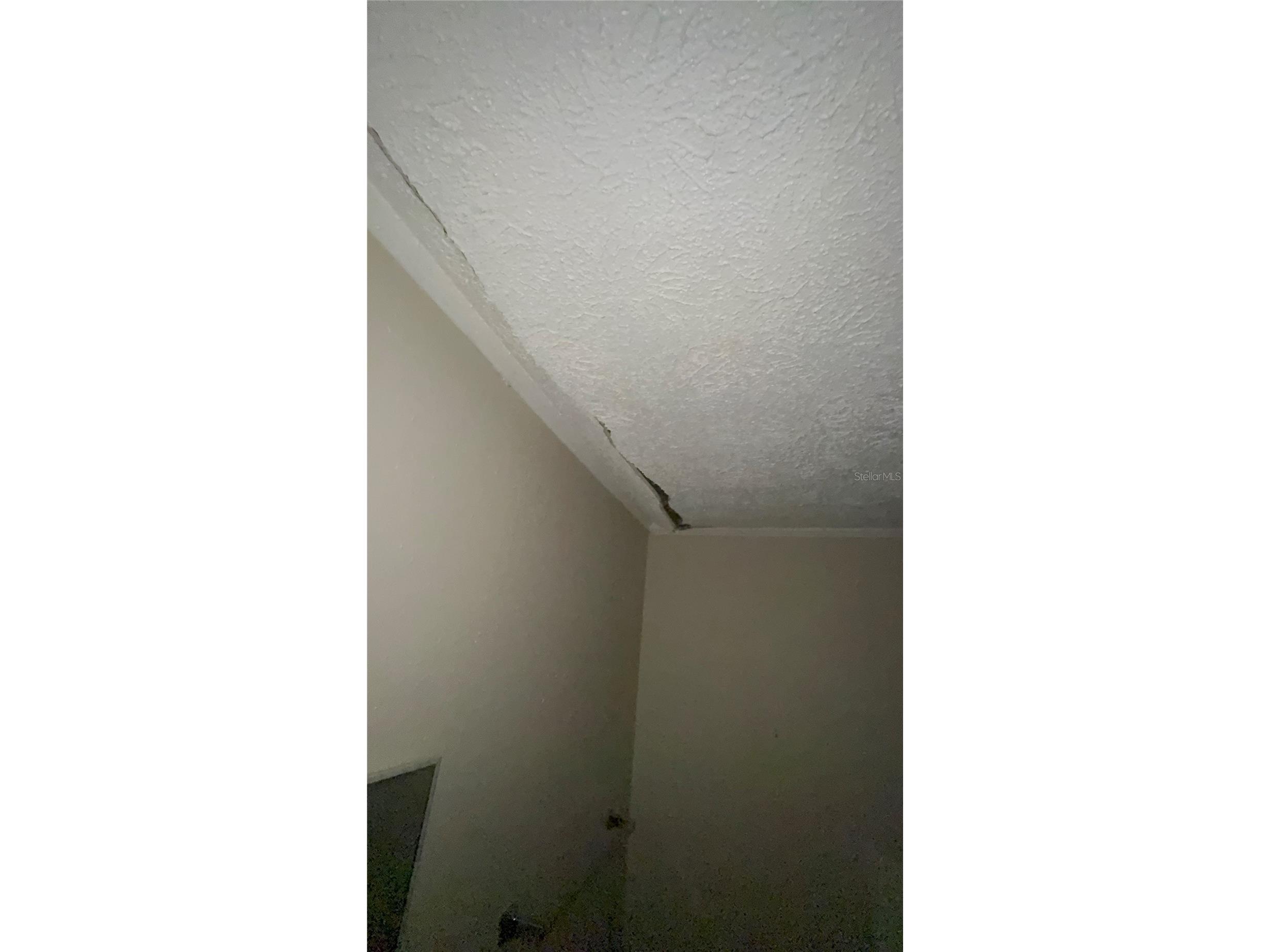 5905 Briley Avenue Jacksonville FL 32208 A4700916 image51