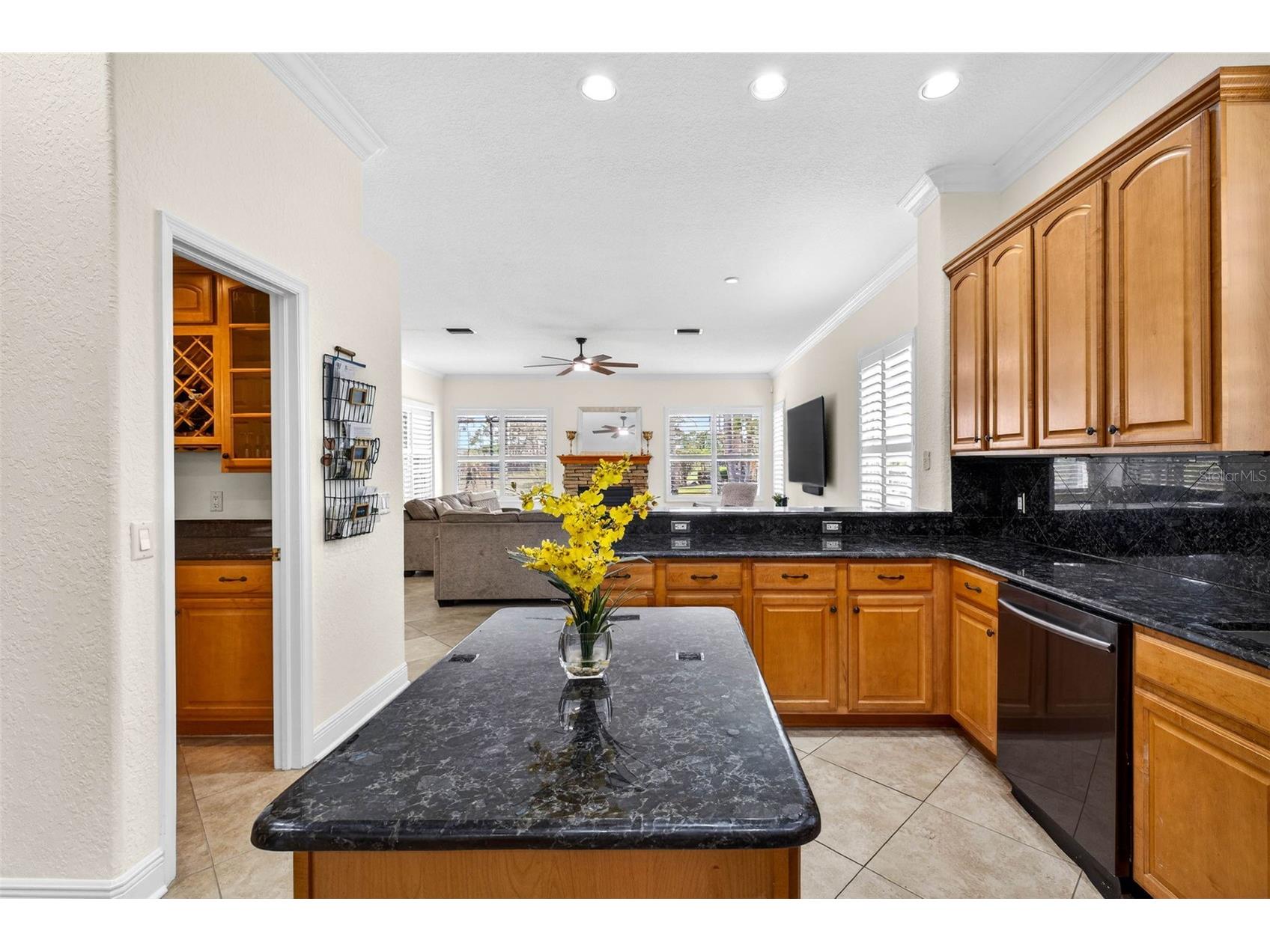 5905 Cherry Oak Drive Valrico FL 33596 TB8493197 image10
