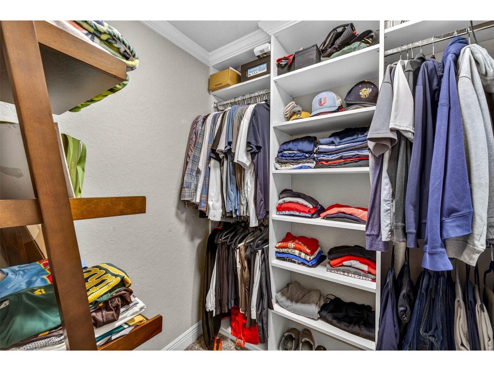 5905 Cherry Oak Drive Valrico FL 33596 TB8493197 image41