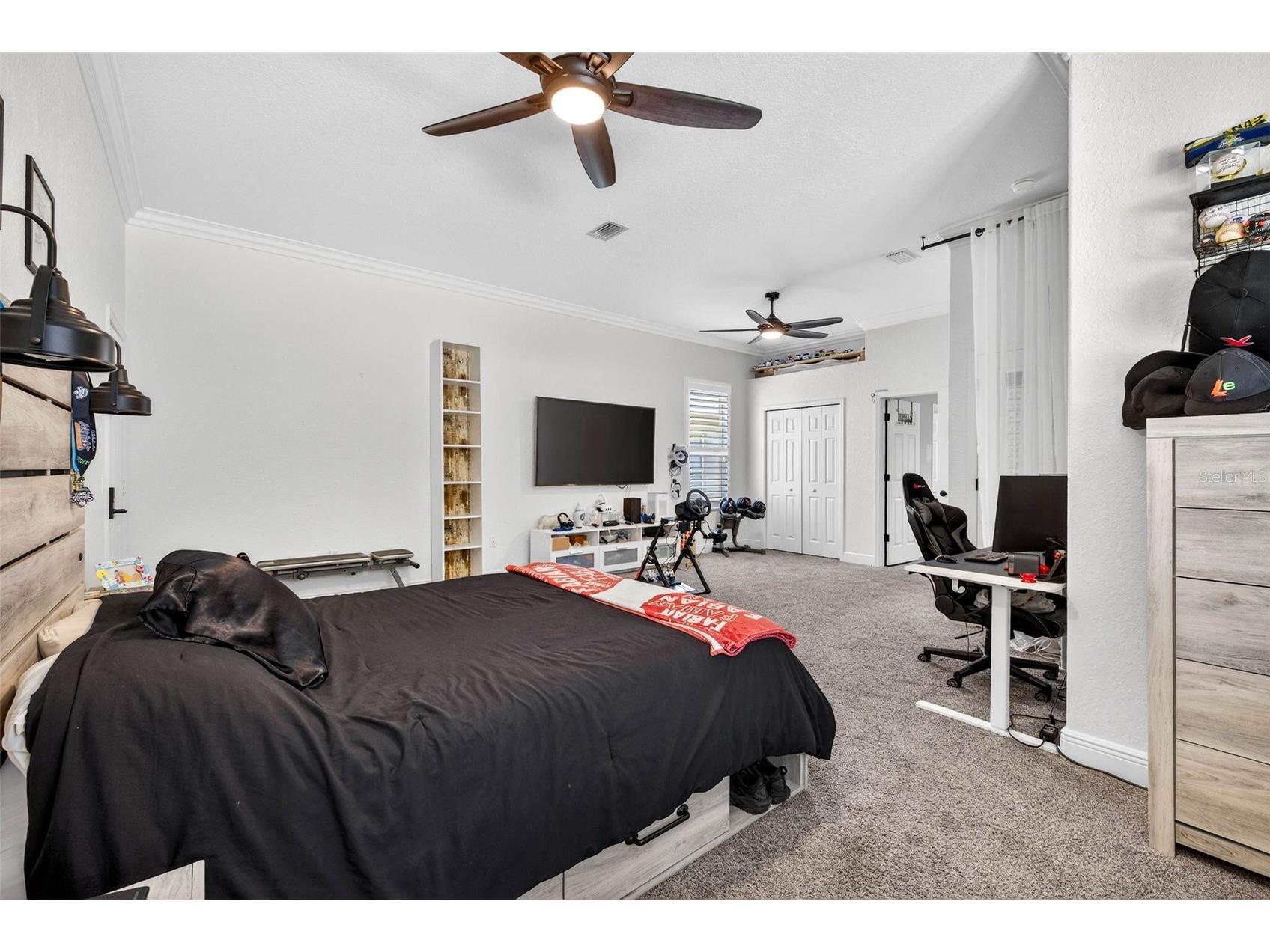 5905 Cherry Oak Drive Valrico FL 33596 TB8493197 image47