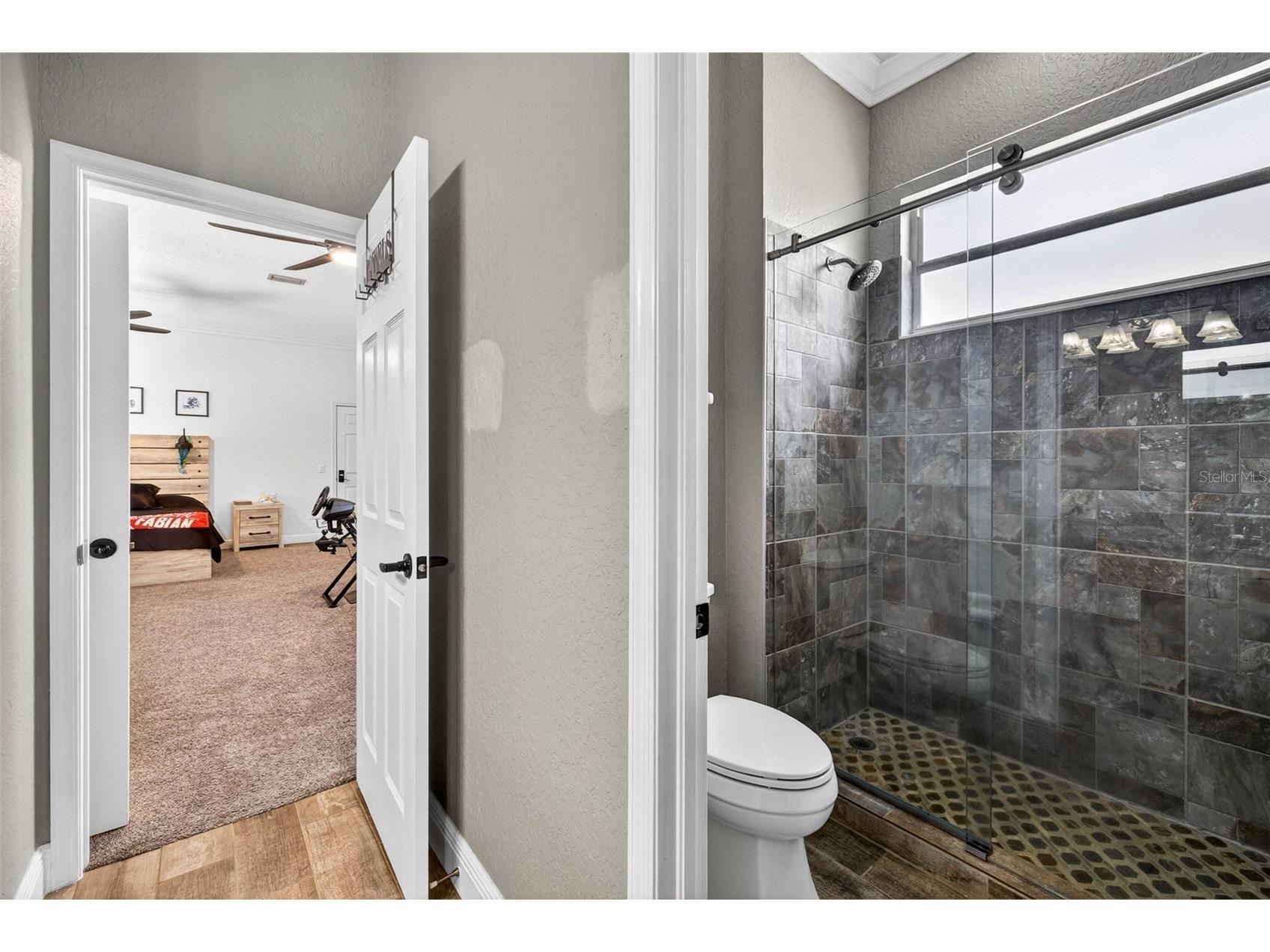 5905 Cherry Oak Drive Valrico FL 33596 TB8493197 image50