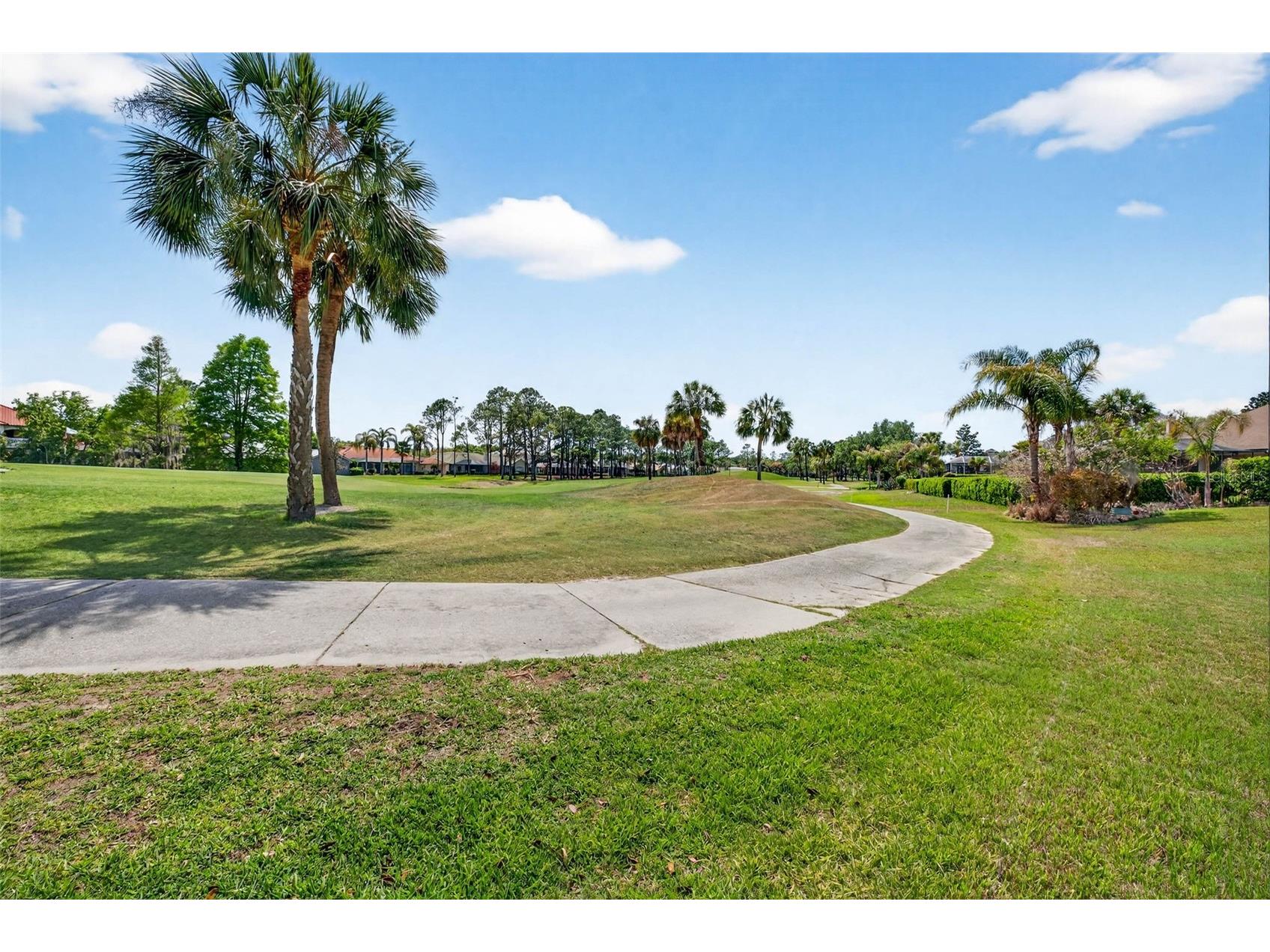 5905 Cherry Oak Drive Valrico FL 33596 TB8493197 image67