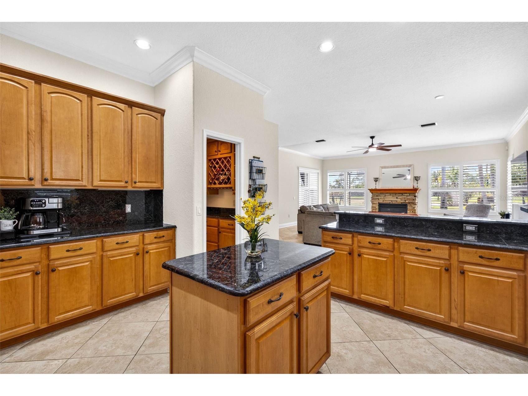 5905 Cherry Oak Drive Valrico FL 33596 TB8493197 image8