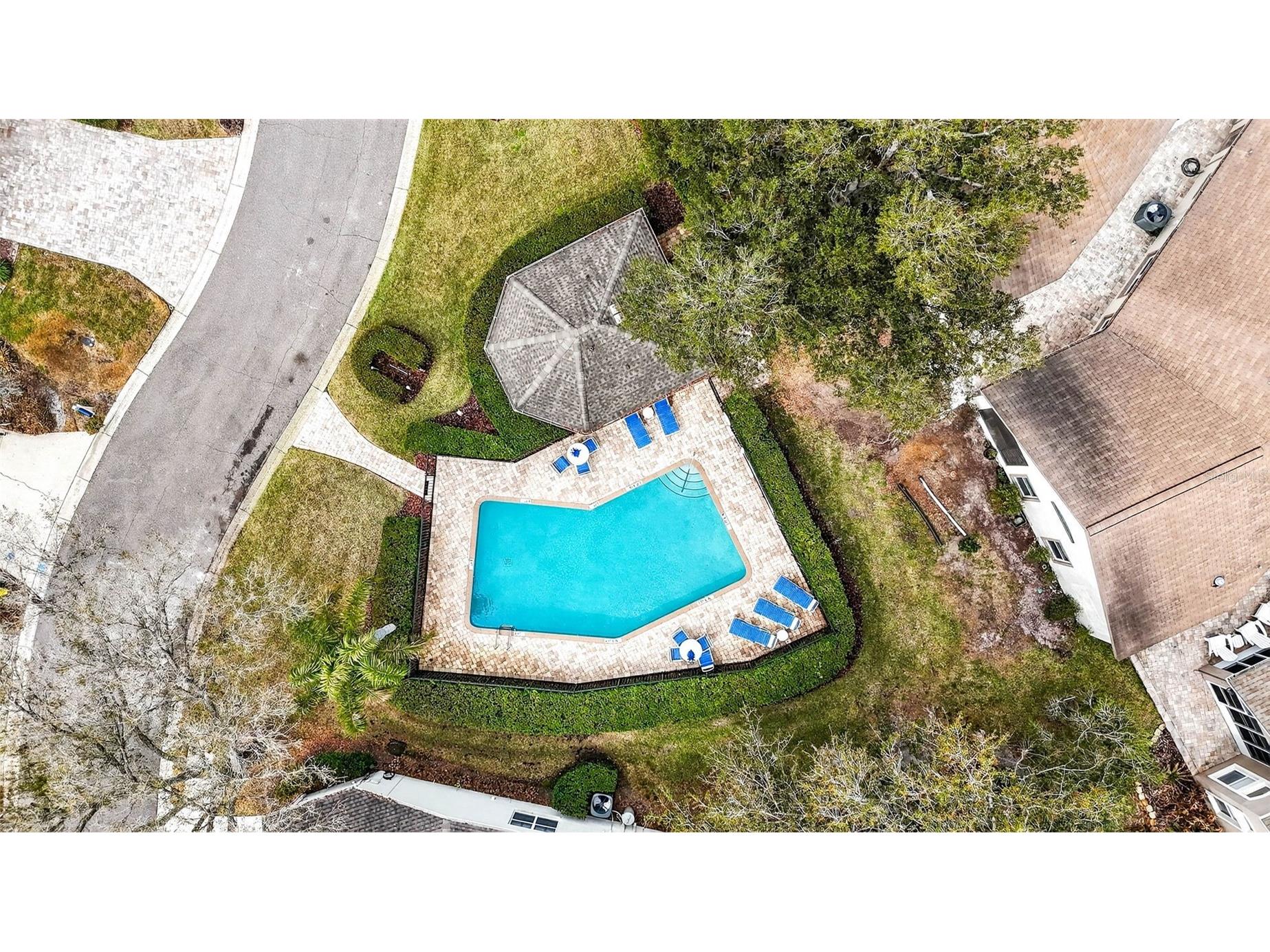 5905 Cherry Oak Drive Valrico FL 33596 TB8493197 image82