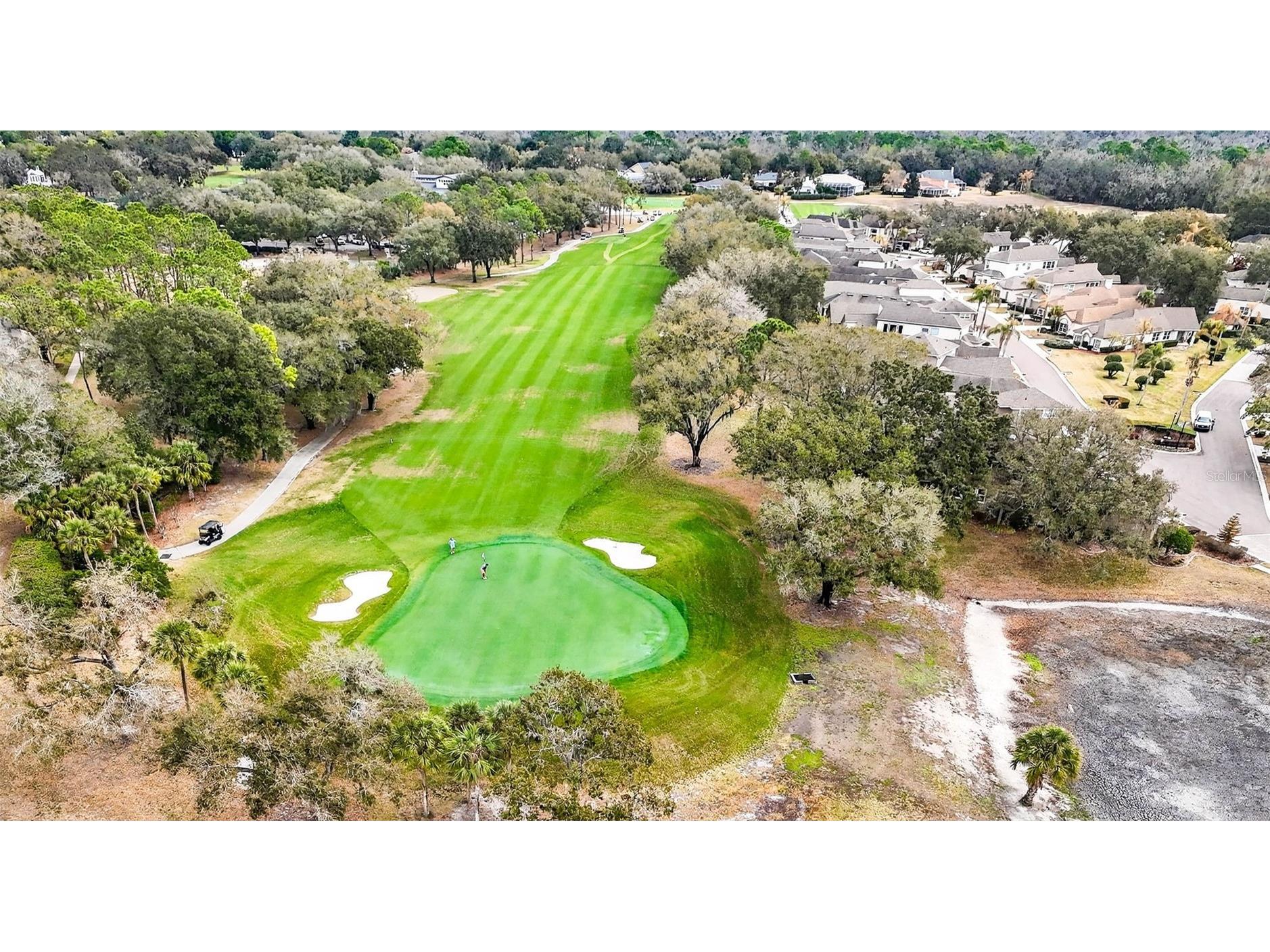 5905 Cherry Oak Drive Valrico FL 33596 TB8493197 image83