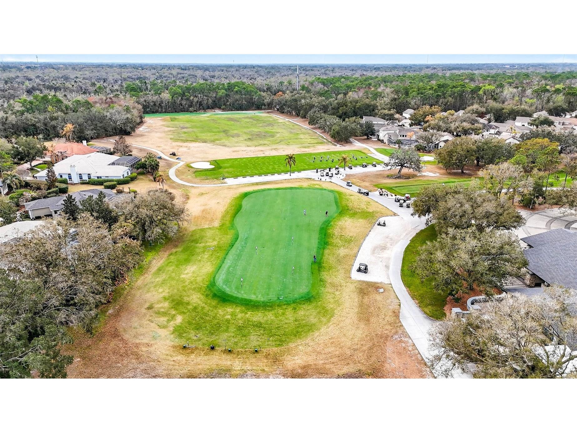 5905 Cherry Oak Drive Valrico FL 33596 TB8493197 image87