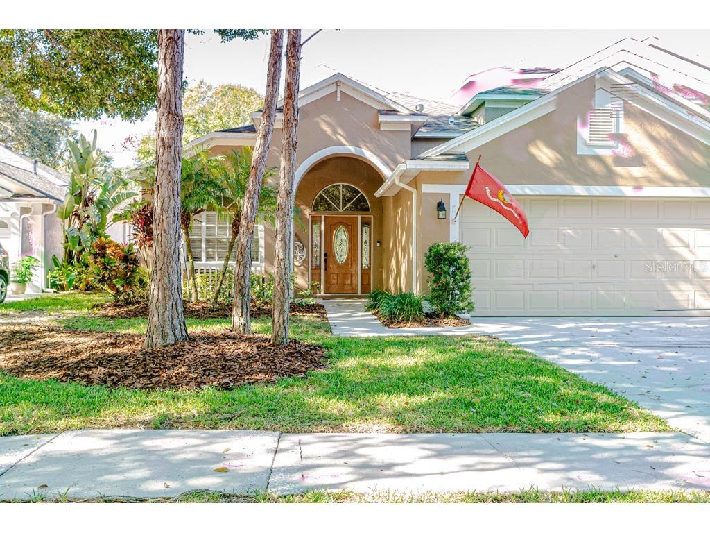 5905 Falconside Road Lithia FL 33547 T3482445 image1