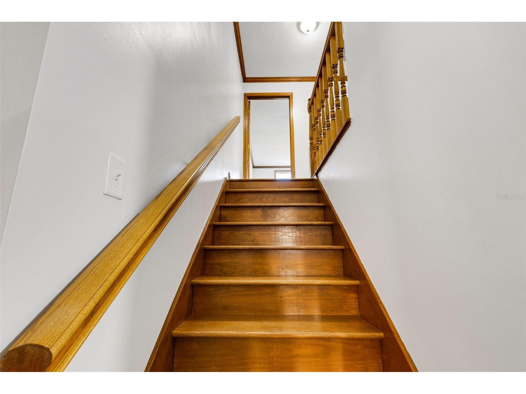 5905 Magnolia Lane Lakeland FL 33810 L4958649 image19