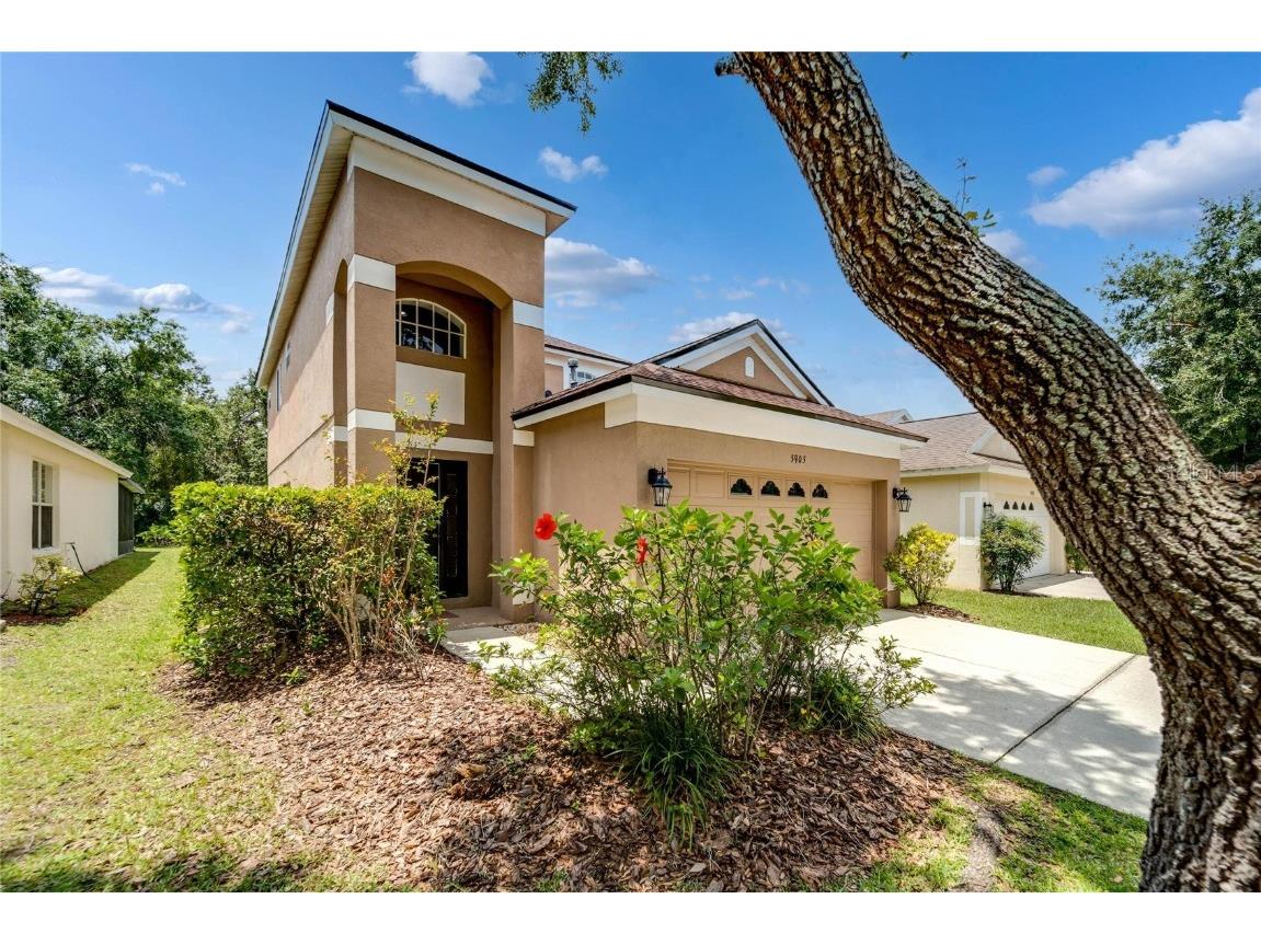 5905 Wrenwater Drive Lithia FL 33547 T3455728 image1