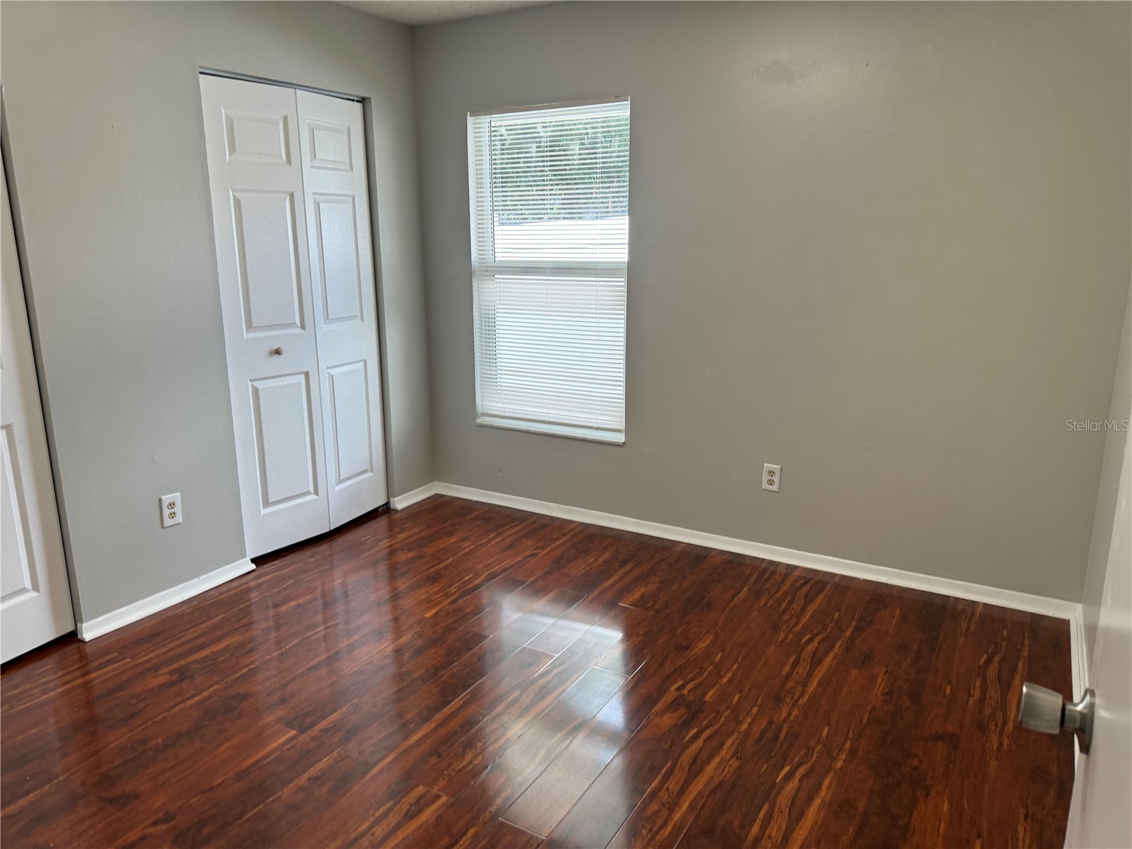 5906 Birchwood Drive Tampa FL 33625 TB8487486 image21