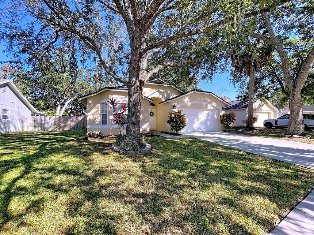 5906 Erhardt Drive Riverview FL 33578 TB8446086 image10
