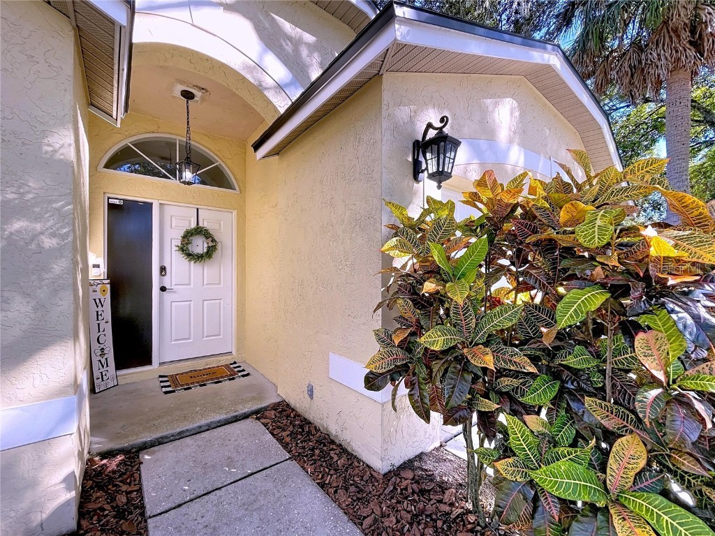 5906 Erhardt Drive Riverview FL 33578 TB8446086 image11