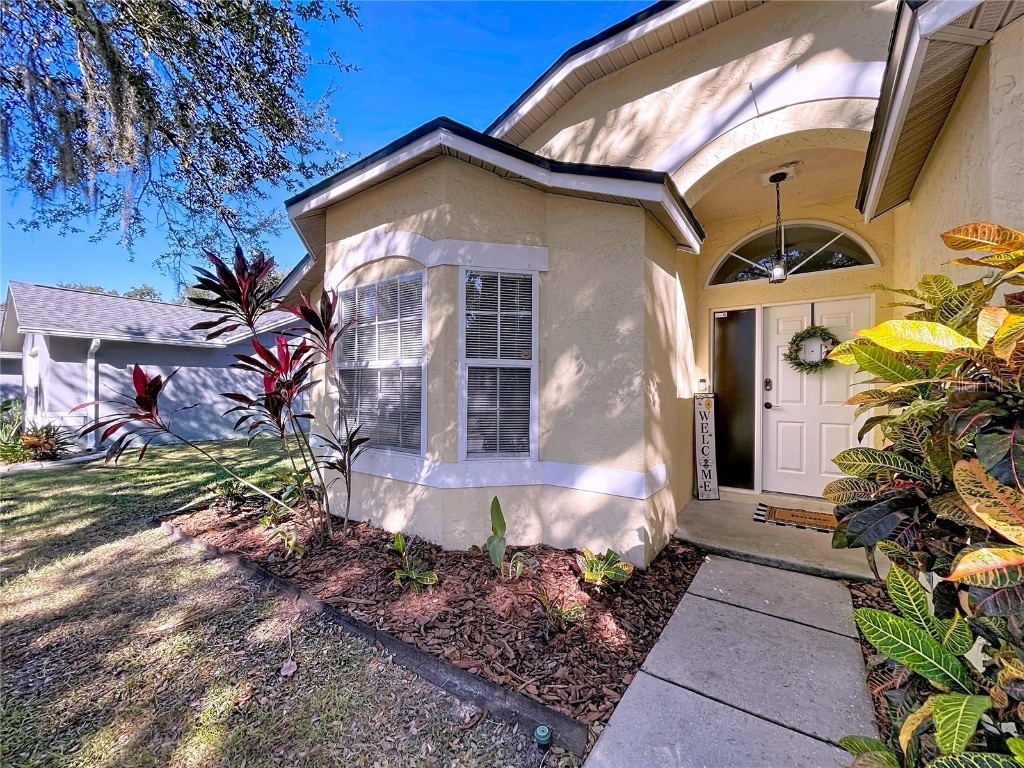 5906 Erhardt Drive Riverview FL 33578 TB8446086 image12