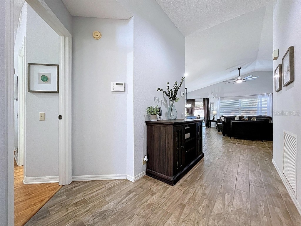 5906 Erhardt Drive Riverview FL 33578 TB8446086 image14