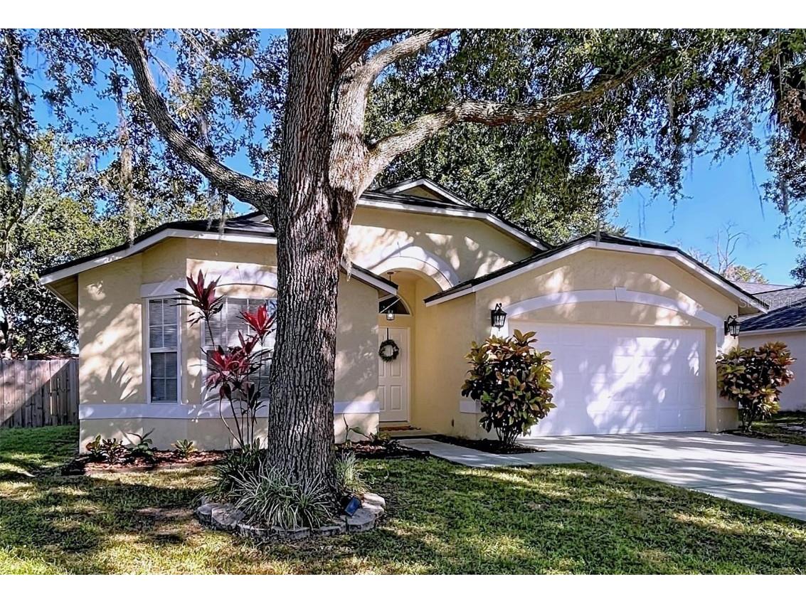 5906 Erhardt Drive Riverview FL 33578 TB8446086 image2