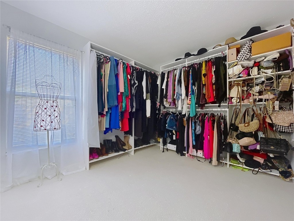 5906 Erhardt Drive Riverview FL 33578 TB8446086 image45