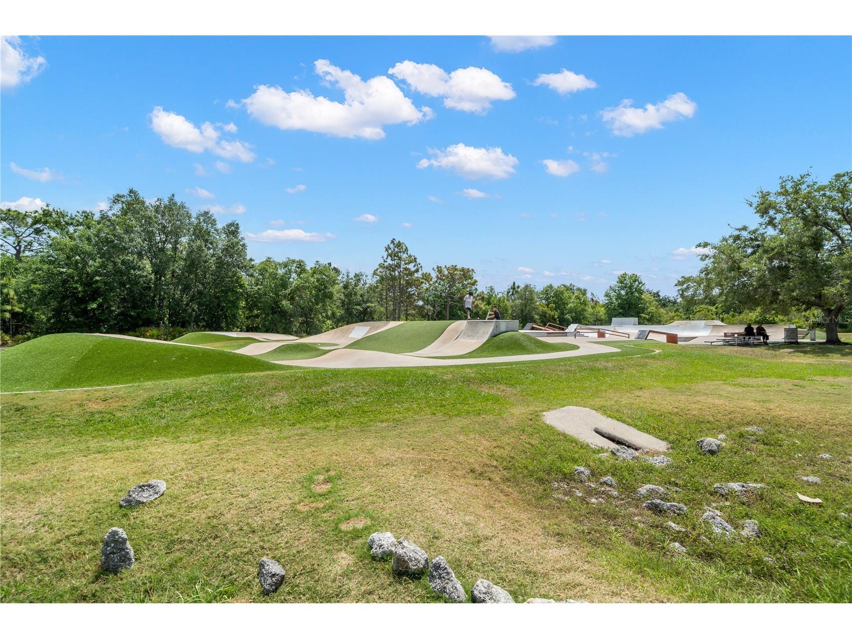 5906 Fishhawk Crossing Boulevard Lithia FL 33547 TB8463351 image83