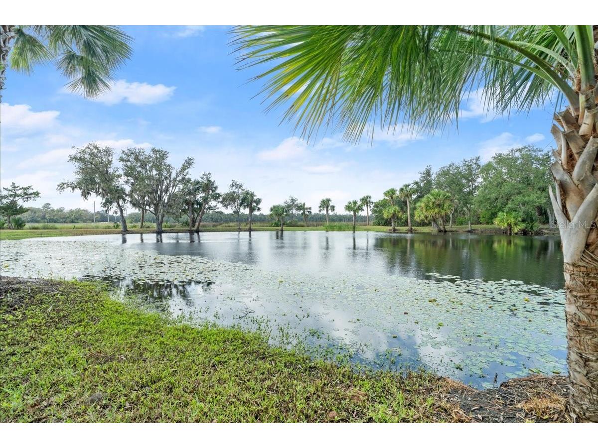 5906 John Anderson Highway Flagler Beach FL 32136 V4939815 image24