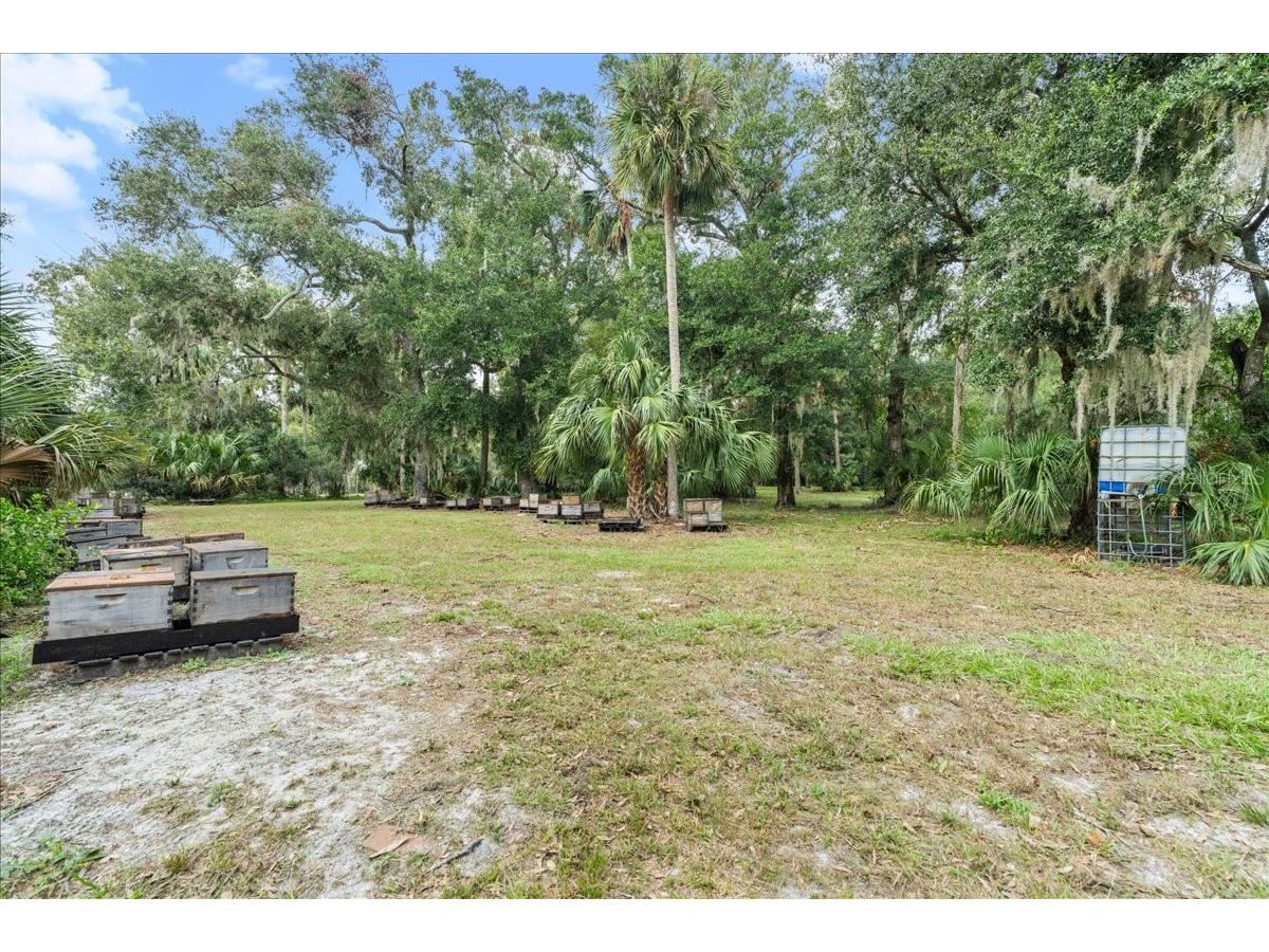 5906 John Anderson Highway Flagler Beach FL 32136 V4939815 image25