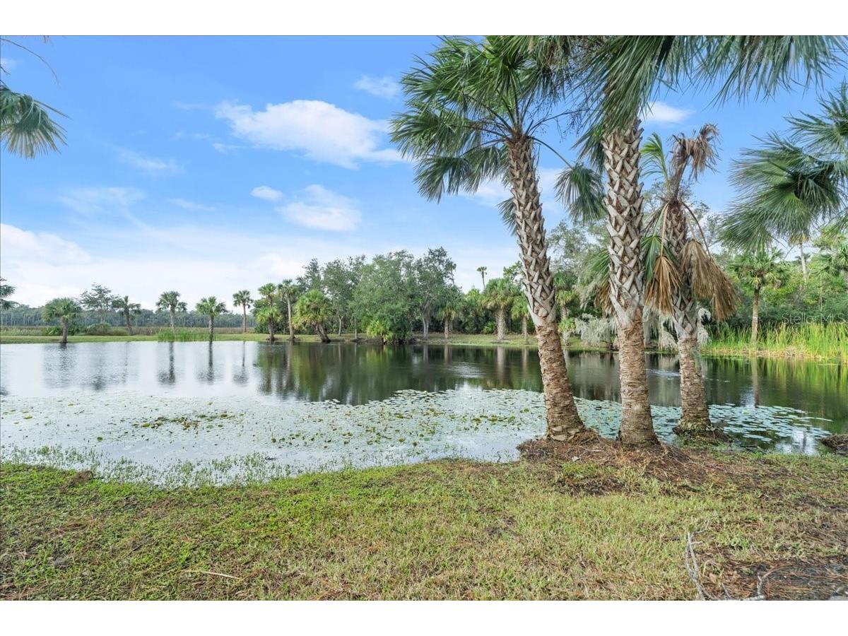 5906 John Anderson Highway Flagler Beach FL 32136 V4939815 image26