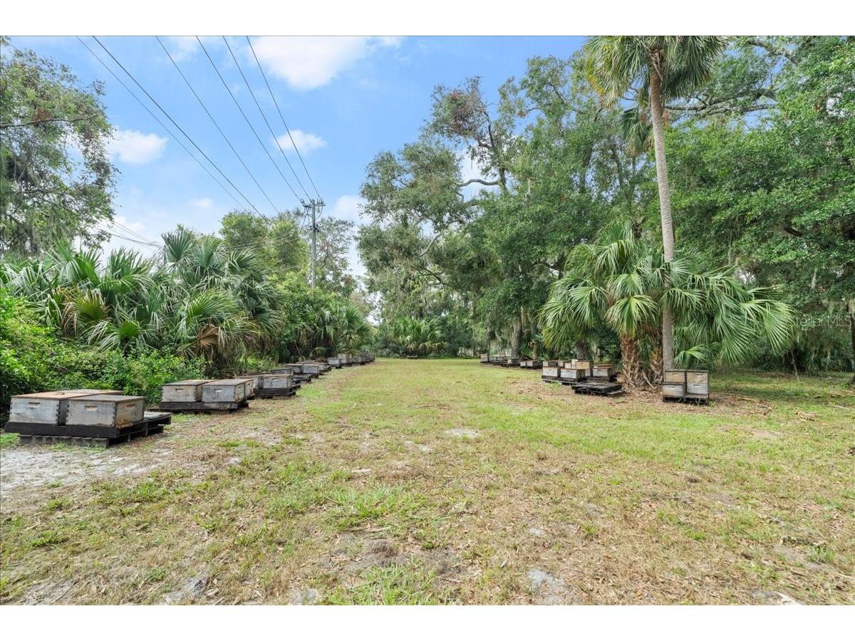 5906 John Anderson Highway Flagler Beach FL 32136 V4939815 image27