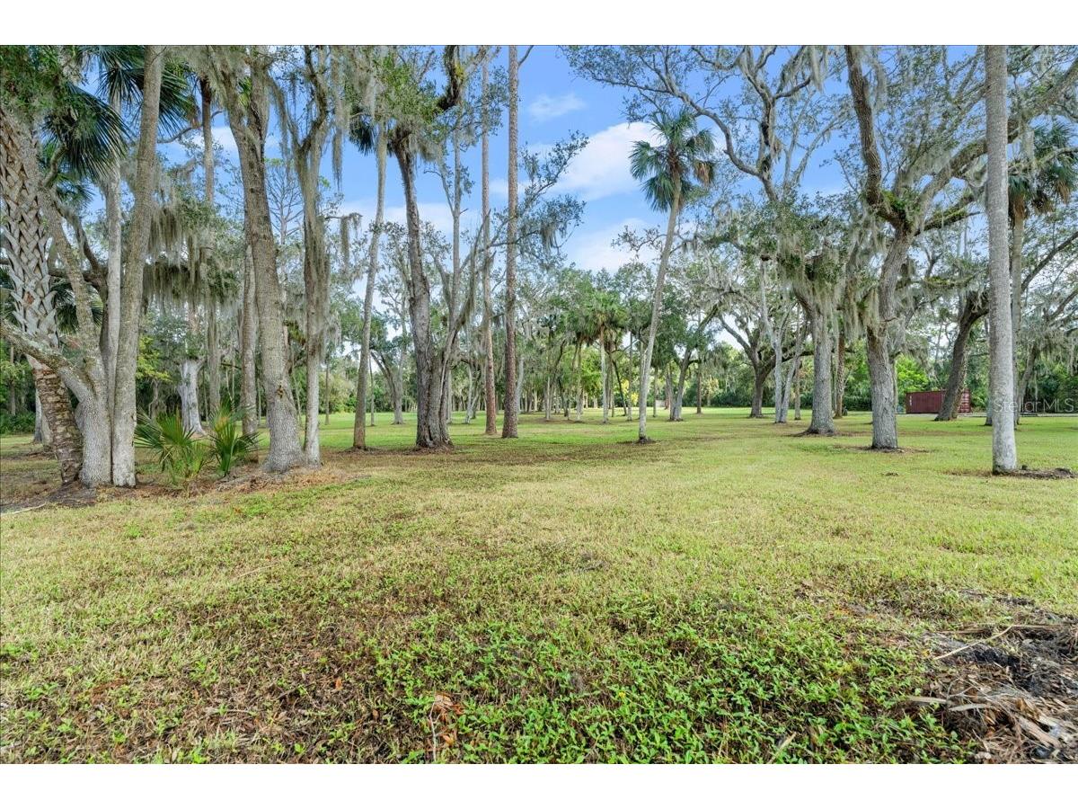 5906 John Anderson Highway Flagler Beach FL 32136 V4939815 image28