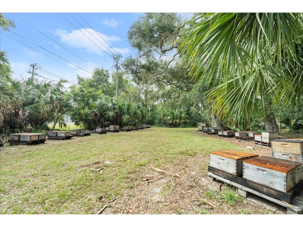 5906 John Anderson Highway Flagler Beach FL 32136 V4939815 image29