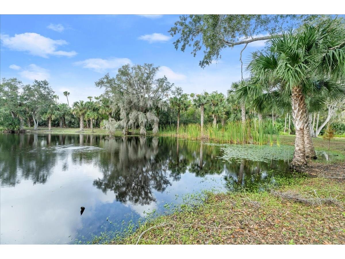 5906 John Anderson Highway Flagler Beach FL 32136 V4939815 image30