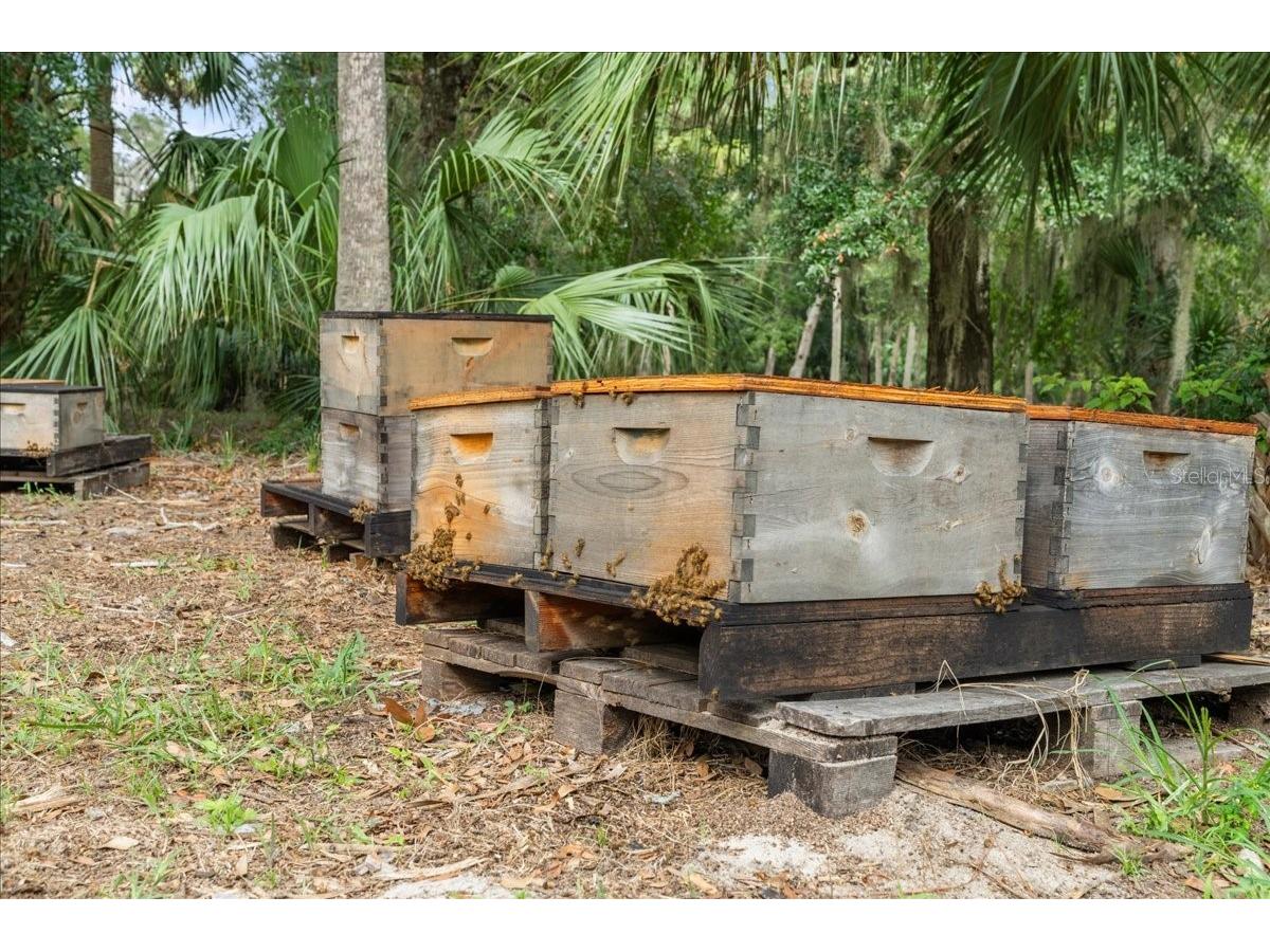 5906 John Anderson Highway Flagler Beach FL 32136 V4939815 image31