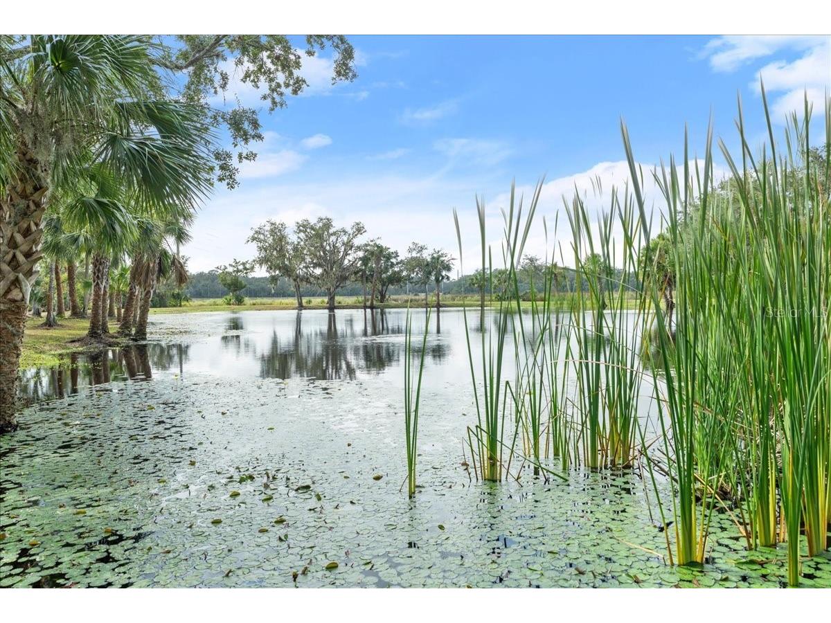 5906 John Anderson Highway Flagler Beach FL 32136 V4939815 image32