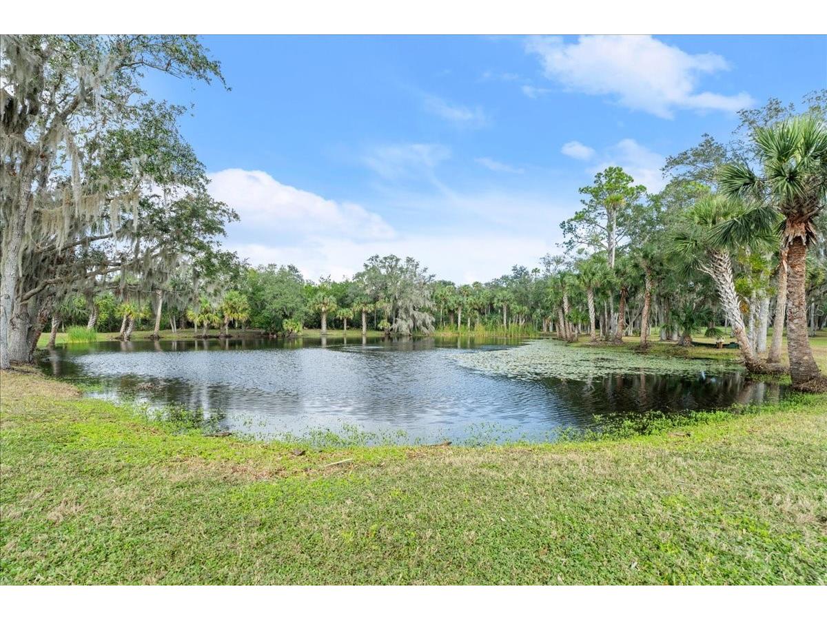 5906 John Anderson Highway Flagler Beach FL 32136 V4939815 image34