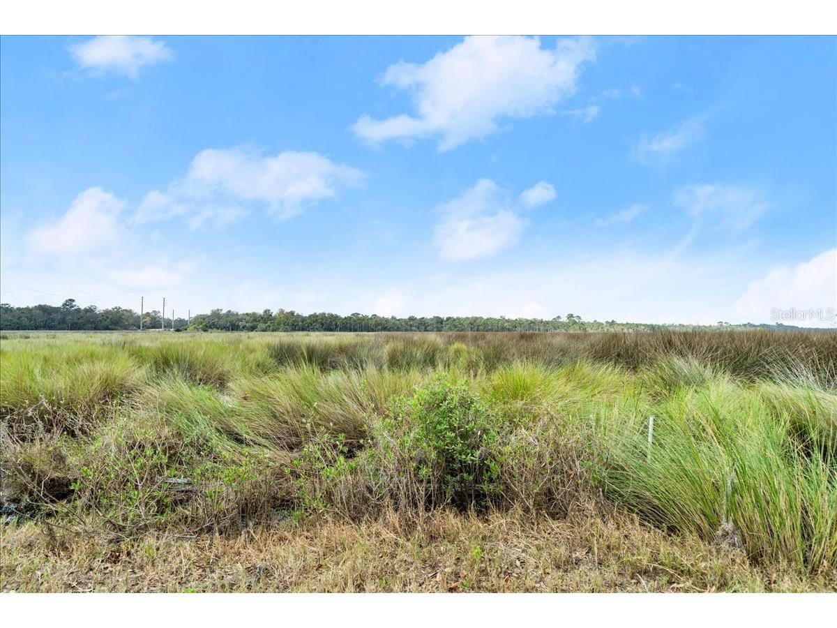 5906 John Anderson Highway Flagler Beach FL 32136 V4939815 image36