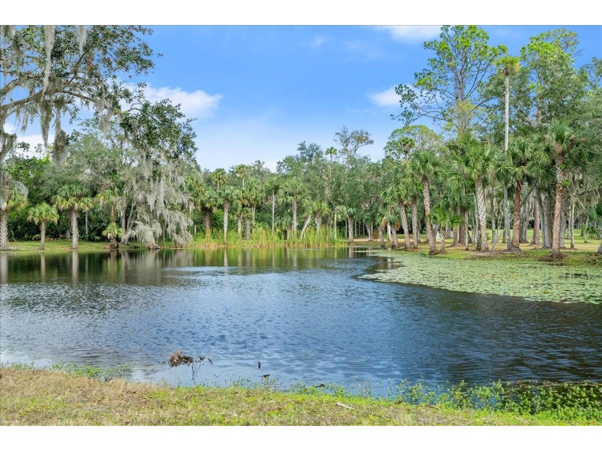 5906 John Anderson Highway Flagler Beach FL 32136 V4939815 image38