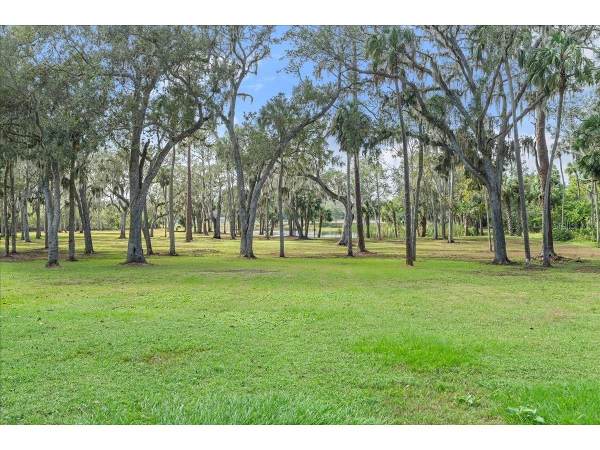 5906 John Anderson Highway Flagler Beach FL 32136 V4939815 image4