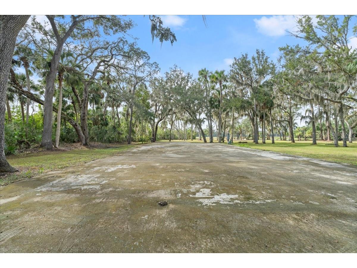 5906 John Anderson Highway Flagler Beach FL 32136 V4939815 image44