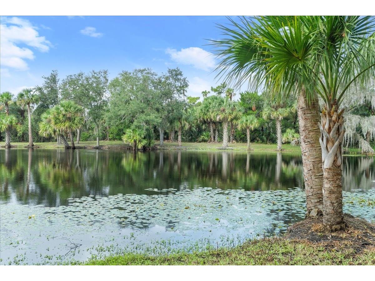 5906 John Anderson Highway Flagler Beach FL 32136 V4939815 image5