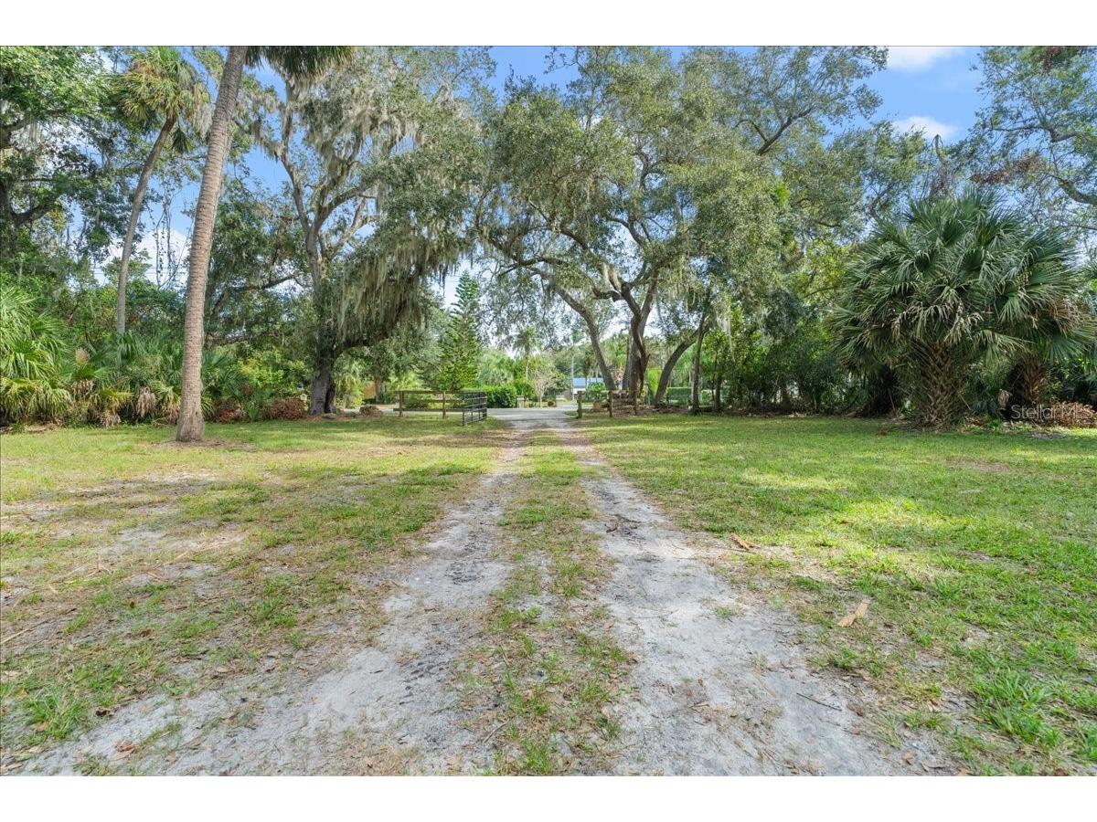 5906 John Anderson Highway Flagler Beach FL 32136 V4939815 image9