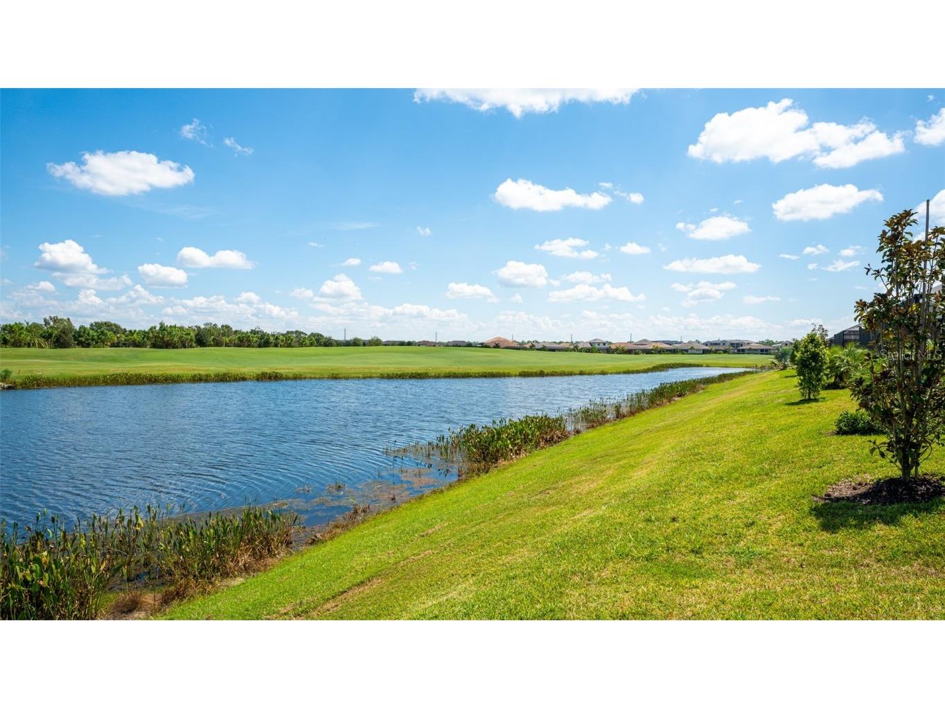 5907 Brandon Run Lakewood Ranch FL 34211 A4583139 image39