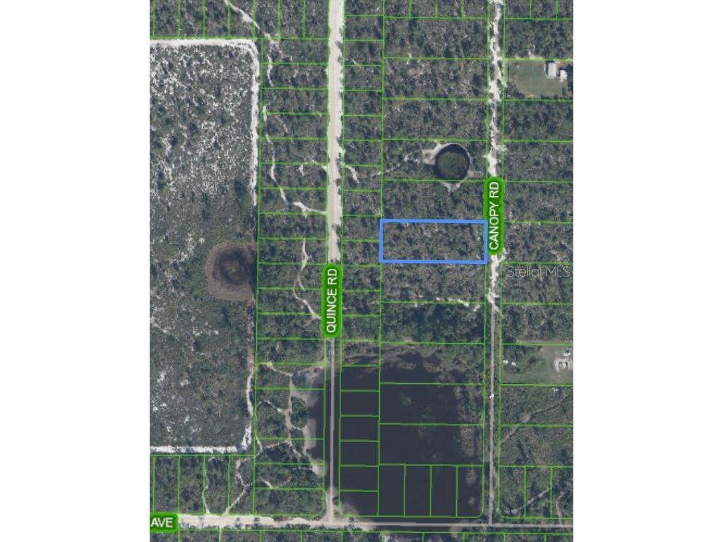 5907 Canopy Road Sebring FL 33875 O6365724 image1
