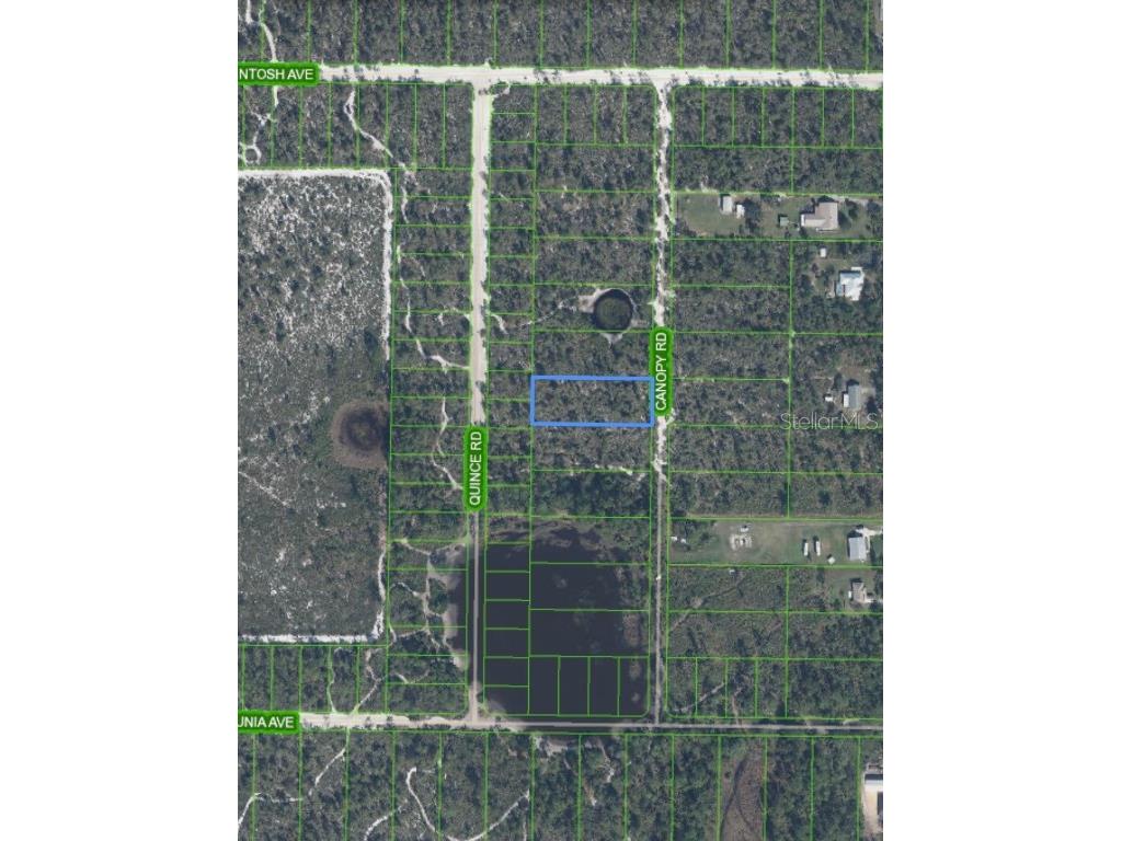 5907 Canopy Road Sebring FL 33875 O6365724 image7