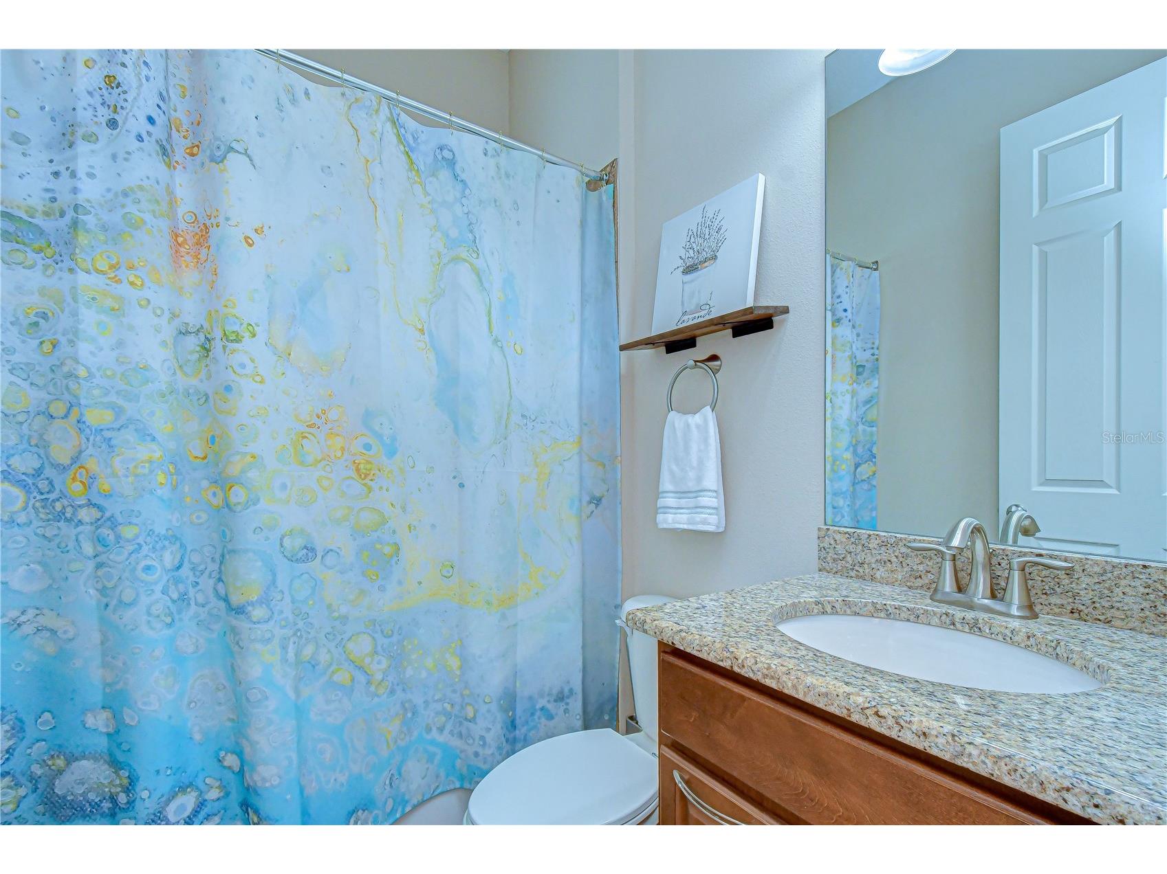 5907 Churchside Drive Lithia FL 33547 TB8508195 image21